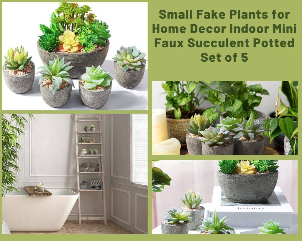 succulents plants artificial 1