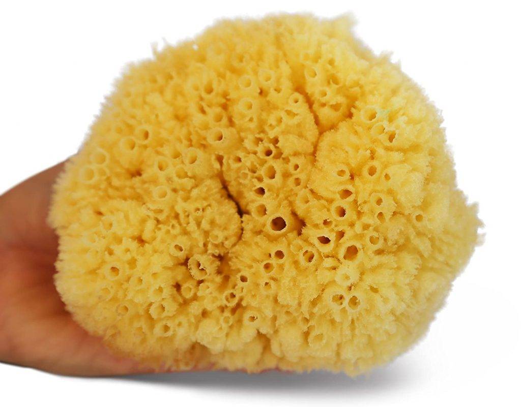 Real Natural Sea Sponges Multipack