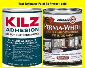 Best Bathroom Paint To Prevent Mold